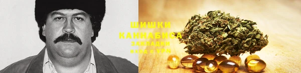 Альфа ПВП Белокуриха