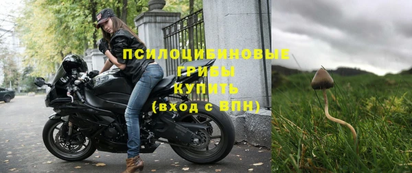 мяу мяу мука Беломорск