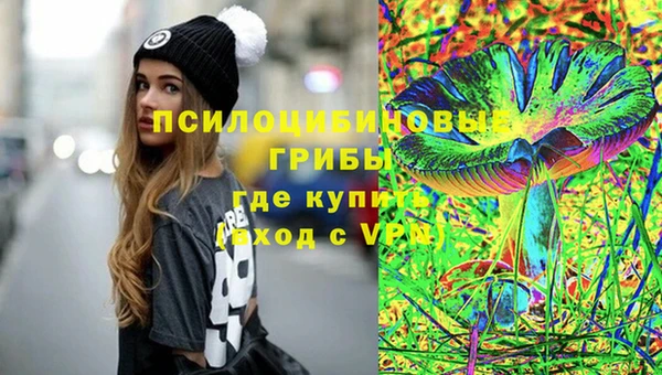 Альфа ПВП Белокуриха