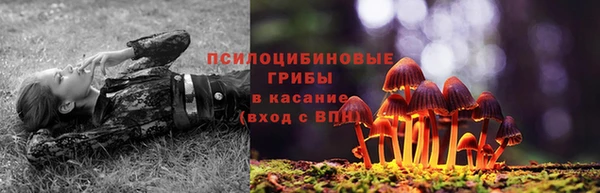 Альфа ПВП Белокуриха