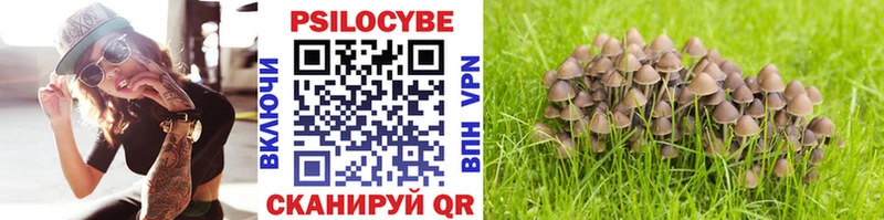 Псилоцибиновые грибы GOLDEN TEACHER Каменск-Уральский